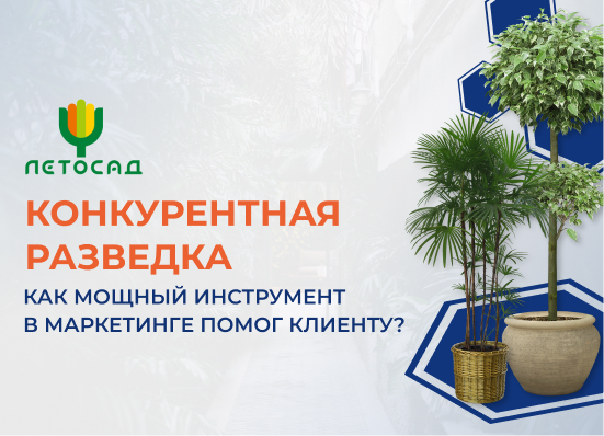 Лето сад
